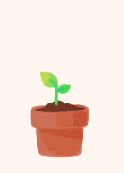 flower growing
